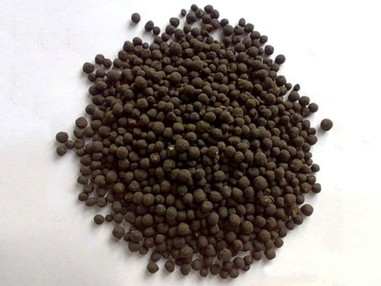 What is the difference between chemical fertilizers and organic fertilizers?